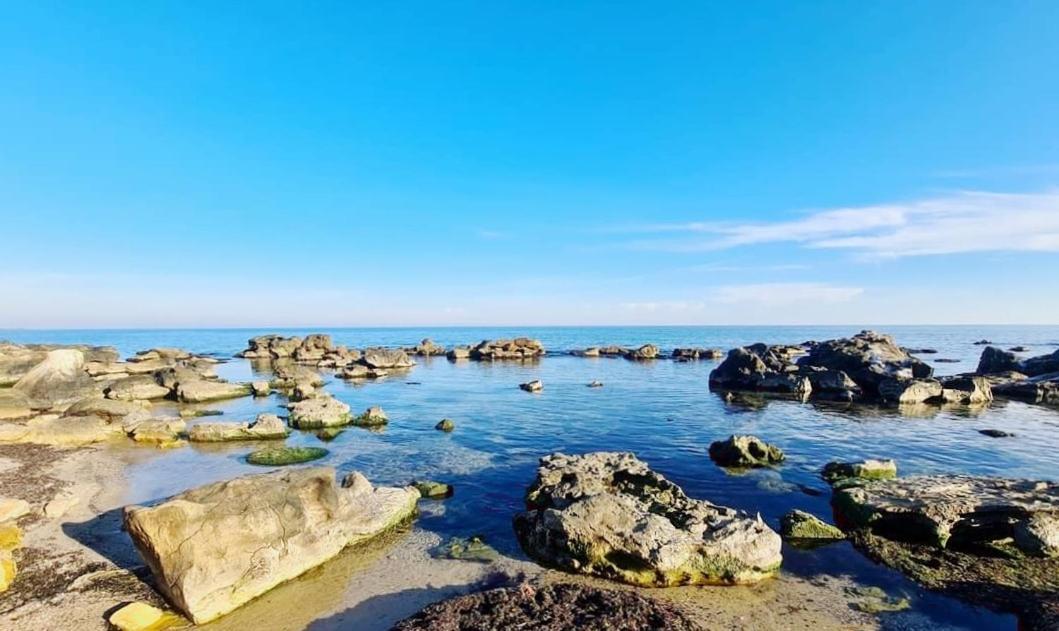 Four Seasons Apartment - Oasis Beach Resort Bliznatsi エクステリア 写真